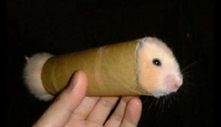 Ragote le Hamster