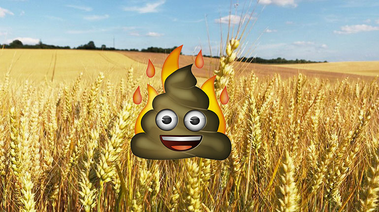 Champ prend feu a cause du coca